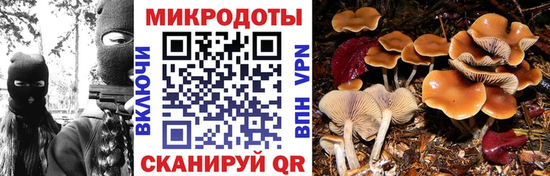 Галлюциногенные грибы Magic Shrooms  Грязи 